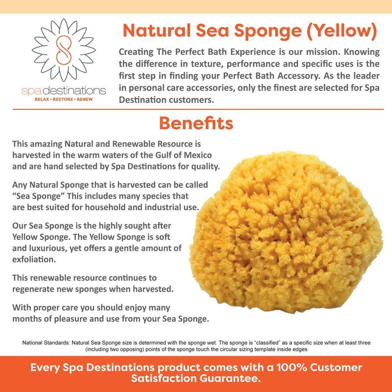 Spa Destinations Natural Sea Sponge - 4-5 inches, Yellow - Image 3